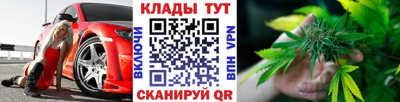 Какие есть наркотики Унеча Галлюциногенные грибы  МАРИХУАНА  КОКАИН  А ПВП  Мефедрон  ГАШ 