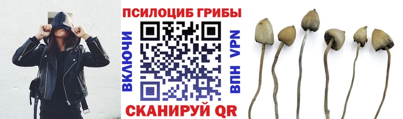 Галлюциногенные грибы Cubensis  наркотики  кракен как войти  Унеча 