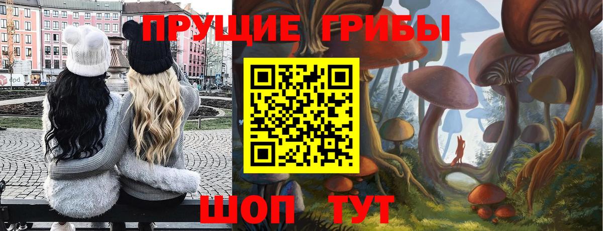 Псилоцибиновые грибы Cubensis  Псилоцибиновые грибы Cubensis  Вход с VPN  Унеча 